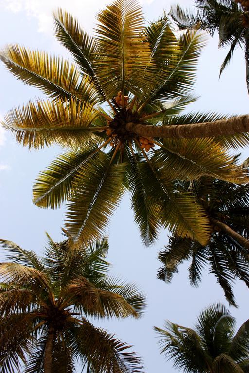 Heden Golf Hotel Abidjan Eksteriør billede